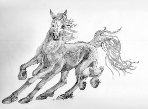 black_and_white glowcat greyscale hooves horse looking_at_viewer male mammal monochrome multi_limb multiple_legs norse_mythology plain_background sleipnir solo tail white_background