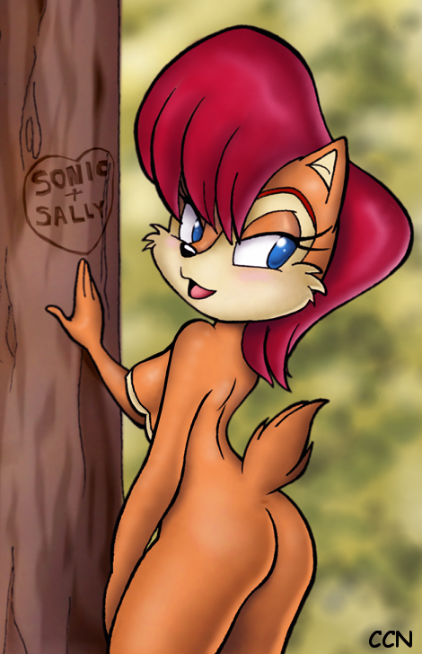 ccn sally_acorn sonic_team tagme