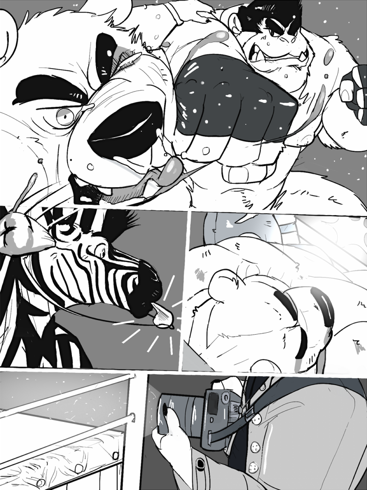 anthro ape bear bin_(artist) boxing camera chubby_male clenched_teeth equid equine face_punch fighting_ring haplorhine knock_out male mammal missing_tooth monochrome musclegut muscular muscular_male polar_bear primate simple_background slightly_chubby sport teeth tongue tongue_out ursine whistle zebra