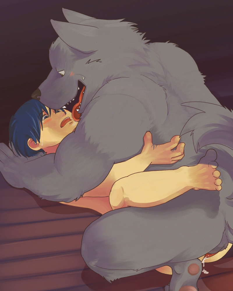 anal_penetration anthro balls blush canine cum cum_in_ass cum_inside dripping drooling duo eye_contact gay human human_on_anthro interspecies kotori lying male mammal missionary_position on_back penetration saliva sex size_difference tongue unknown_artist wolf