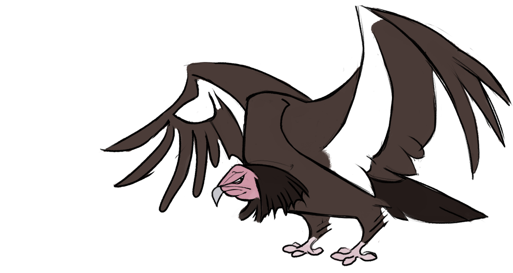 2016 4_toes ambiguous_gender angry anisodactyl avian beak biped bird brown_feathers brown_tail brown_wings california_condor digital_drawing_(artwork) digital_media_(artwork) feather_tuft feathered_wings feathers featureless_crotch feral frown full-length_portrait grey_beak hunchback jamminbison looking_aside looking_away multicolored_feathers neck_tuft pink_skin portrait simple_background solo squint standing tail_feathers toes toony tuft two_tone_feathers two_tone_wings vulture white_background white_feathers white_wings winged_arms wings