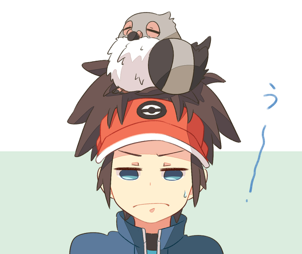 1boy blue_eyes brown_hair hat jacket kyouhei_(pokemon) pidove pokemon pokemon_(game) pokemon_bw2 sleeping