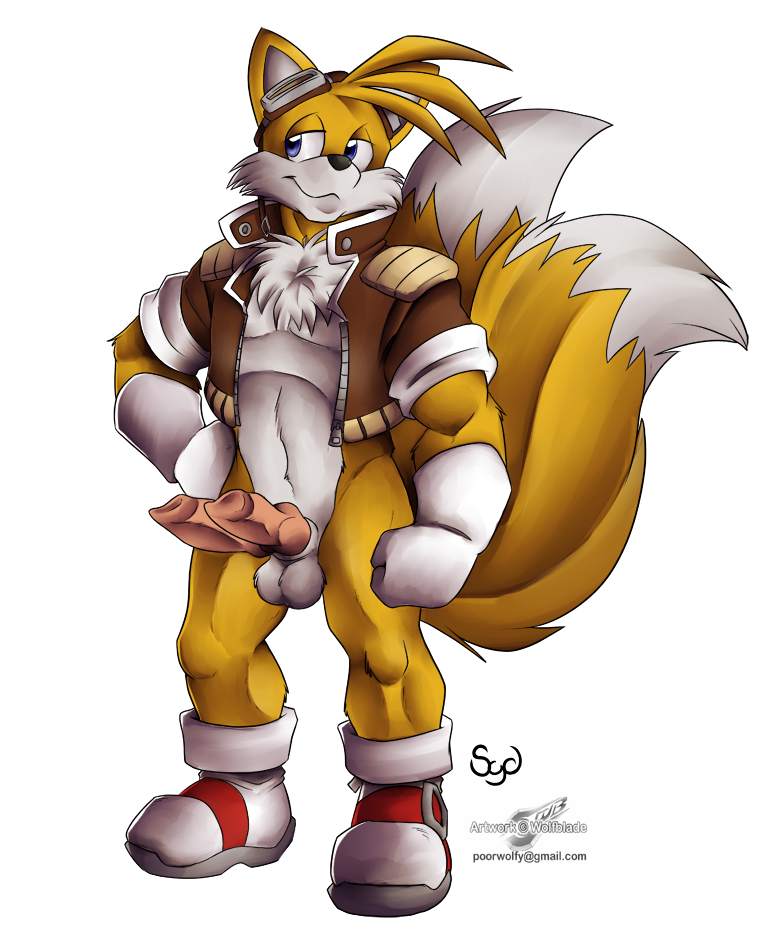 diphallism fox knot male mammal miles_prower multi_cock muscles penis sega solo sonic_(series) tails wolfblade