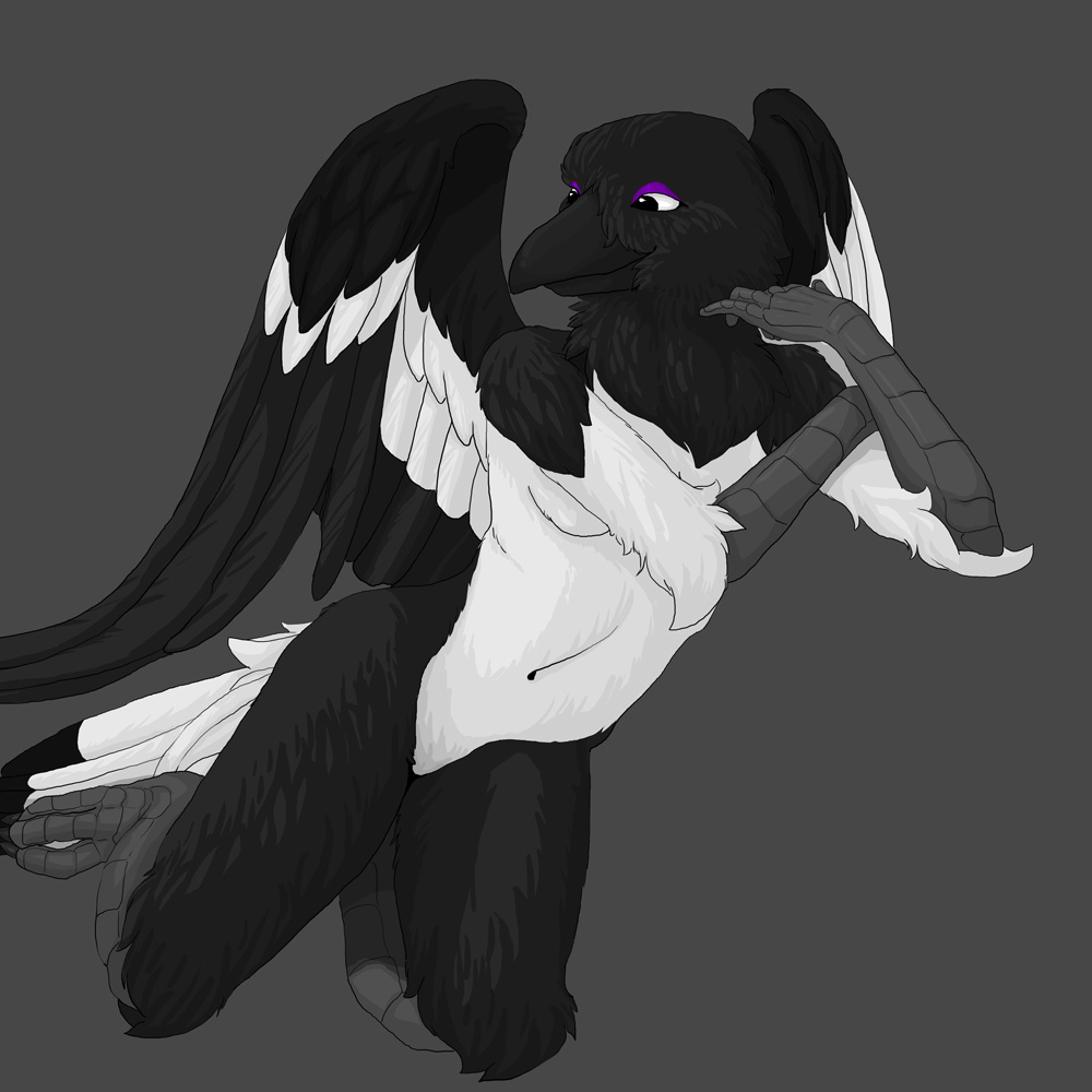 bleuhawke breasts feathers female leaning magpie solo wings