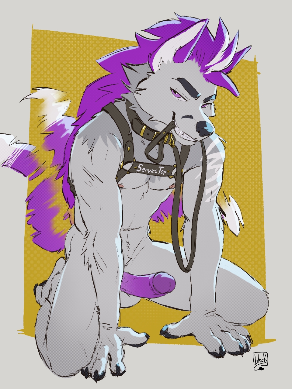 collar erection fur genitals grey_body grey_fur hair harness hi_res humanoid_genitalia humanoid_penis kneeling kurama_(kurama_the_fox) leash leash_in_mouth lion21 looking_at_viewer male muscular object_in_mouth penis purple_eyes purple_hair simple_background slim solo tail tail_motion tailwag