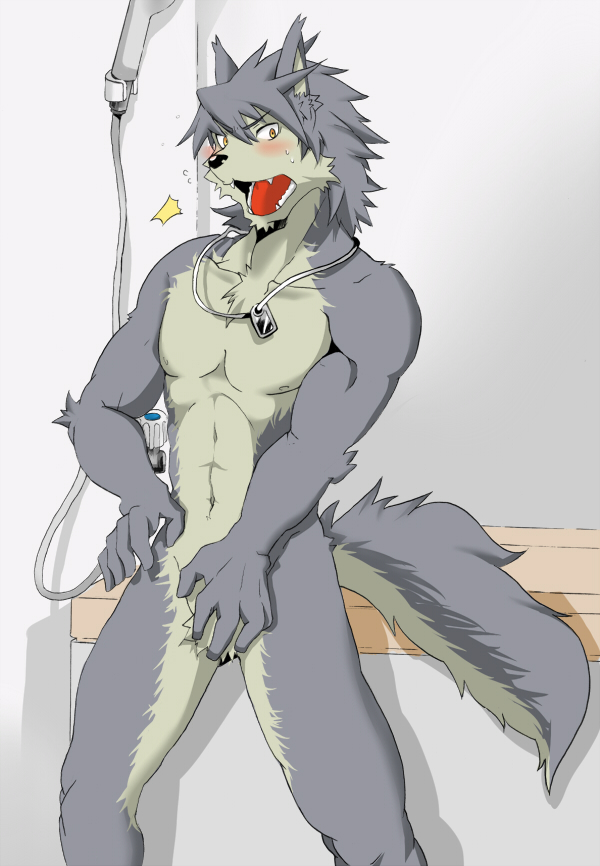 abs anthro biceps black_nose blue_fur blue_hair blush canine chest_tuft covering covering_self dog dog_tags embarrassed fangs front fur grey_fur grey_hair hair husky kouya kouya_aotsuki looking_at_viewer male mammal morenatsu muscles necklace nervous nipples nude open_mouth pecs shadow shower solo standing surprise sweat teeth tongue tuft yellow_eyes