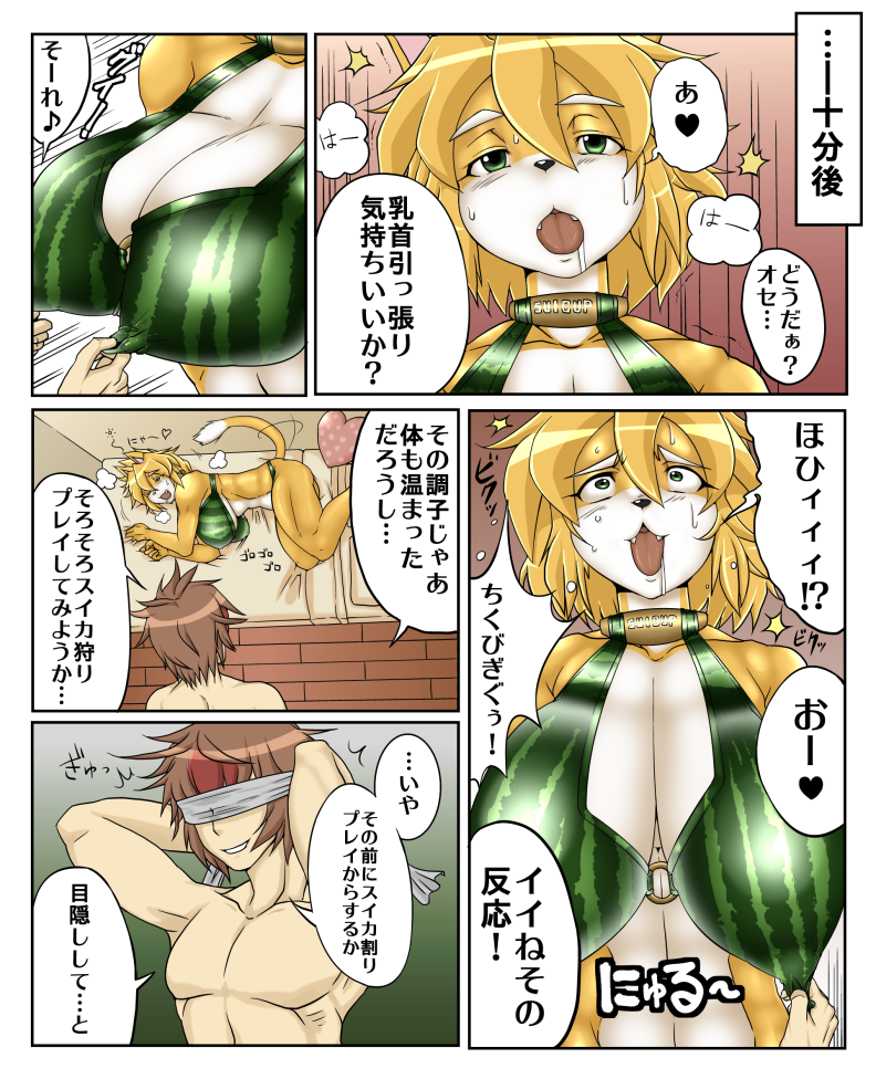 &hearts; bed big_breasts bikini_top blindfold blush breasts cat clothed clothing comic dialog dialogue feline female human interspecies japanese_text male mammal melon mochizuki_tooya muscles ose pecs pillow skimpy smile text translation_request watermelon