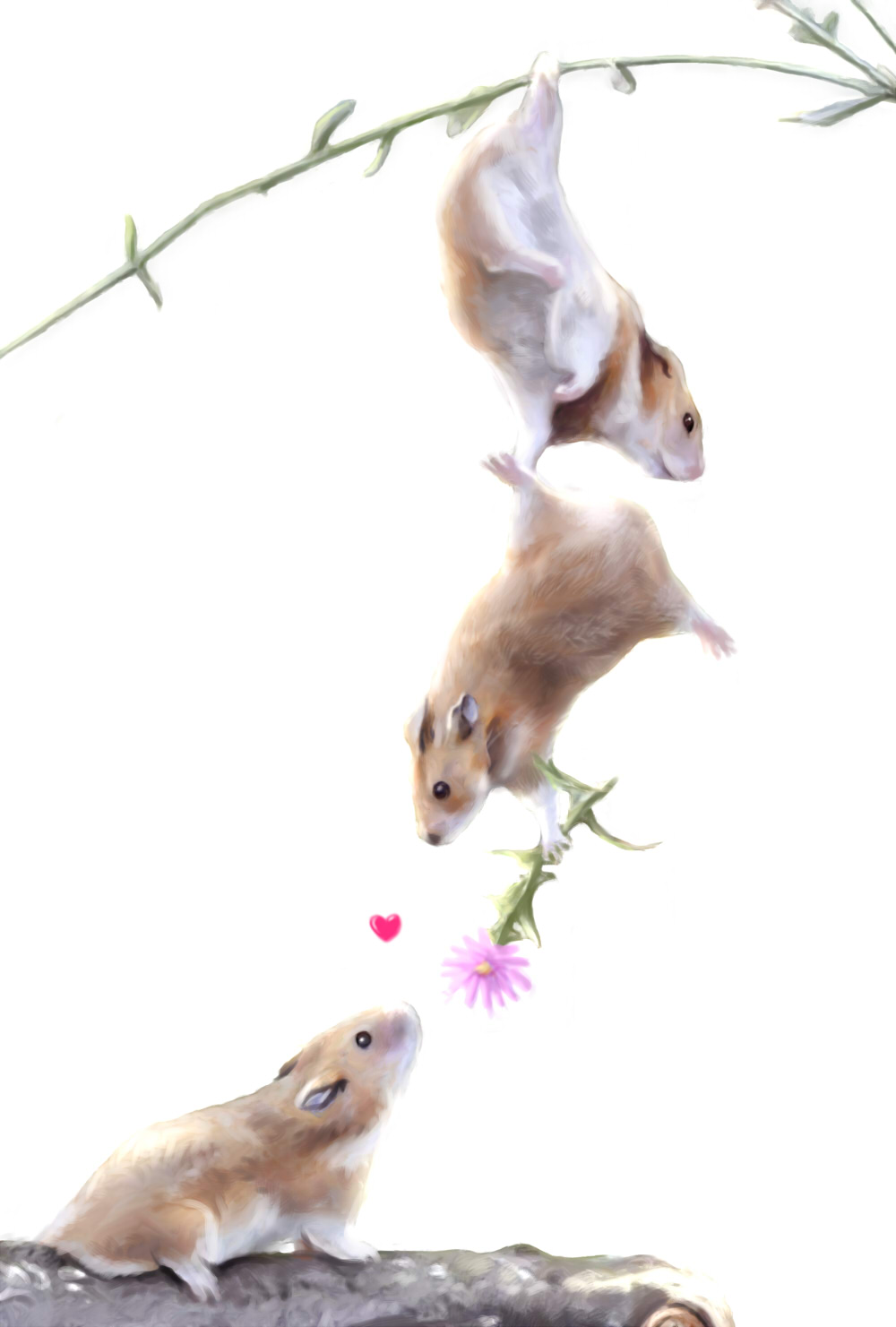 &hearts; all_fours ambiguous_gender balancing black_eyes branch brown_fur couple feral flower fur hamster hanging mammal plain_background plant realistic rodent safle728 upside_down white_background