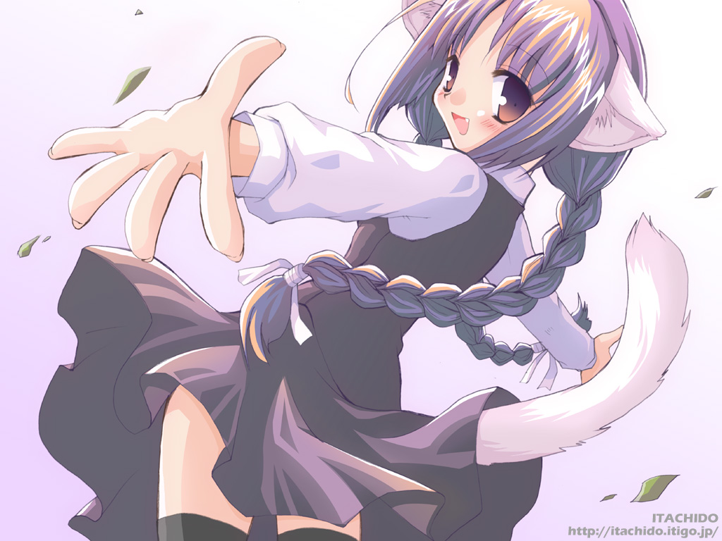:d animal_ears braid brown_eyes cat_ears fang itachi_chimaki leaf long_hair looking_at_viewer open_mouth original outstretched_hand smile solo tail thighhighs twin_braids watermark web_address wind wind_lift