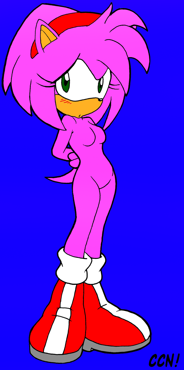 amy_rose ccn sonic_team tagme