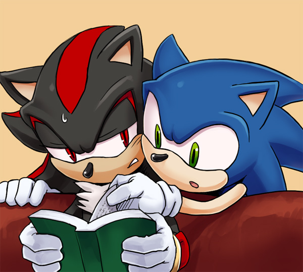 blue blue_hair book duo green_eyes hair hedgehog karlo male mammal red_eyes sega shadow_the_hedgehog sonic_(series) sonic_the_hedgehog sweat