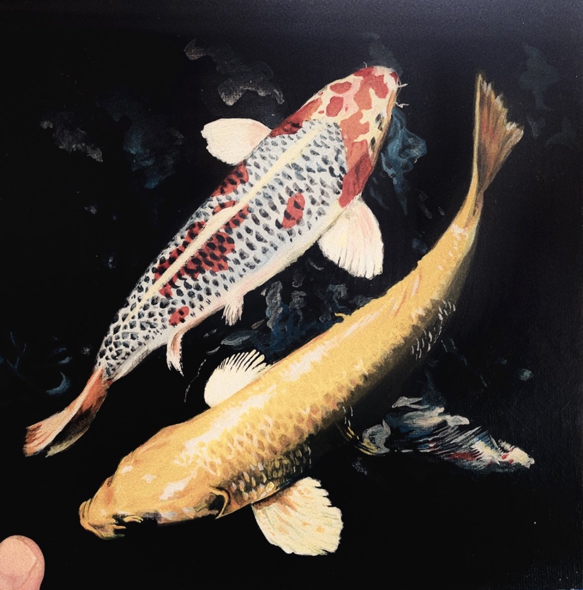 1other animal animal_focus carp dark fish original painting_(medium) realistic shadow shibakaka traditional_media watercolor_(medium)