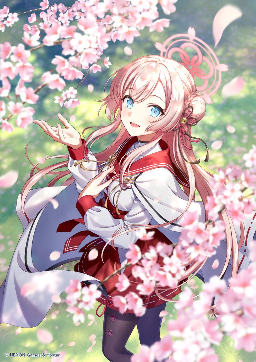 1girl black_pantyhose blue_archive blue_eyes cherry_blossoms falling_petals floating_hair flower hair_bun halo hands_up japanese_clothes long_hair long_sleeves looking_at_viewer miko mimori_(blue_archive) morikura_en official_art open_mouth outdoors pantyhose petals pink_flower pink_hair red_skirt single_hair_bun skirt smile solo standing