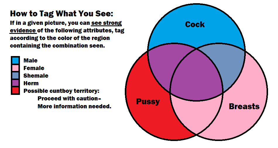 cuntboy dickgirl english_text female guide intersex male tagging_guidelines_illustrated text venn_diagram