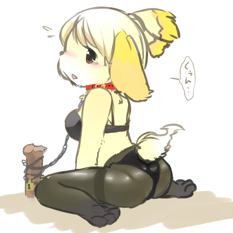 1girl artist_request blush bound bra brown_eyes canine chain character_request collar dog doubutsu_no_mori female isabelle_(animal_crossing) legwear licking mammal mogura_(susutake) nintendo panties pantyhose post shizue_(animal_crossing) shizue_(doubutsu_no_mori) slave stockings thong tongue translated translation_request underwear unknown_artist video_games