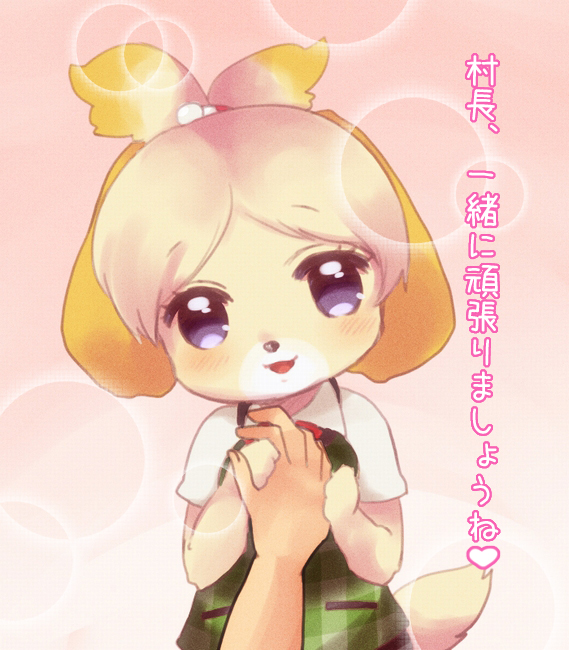 artist_request blush canine character_request dog doubutsu_no_mori female hand_holding human isabelle_(animal_crossing) mammal nintendo shih_tzu shizue_(animal_crossing) shizue_(doubutsu_no_mori) swimsuit text translated translation_request unknown_artist video_games