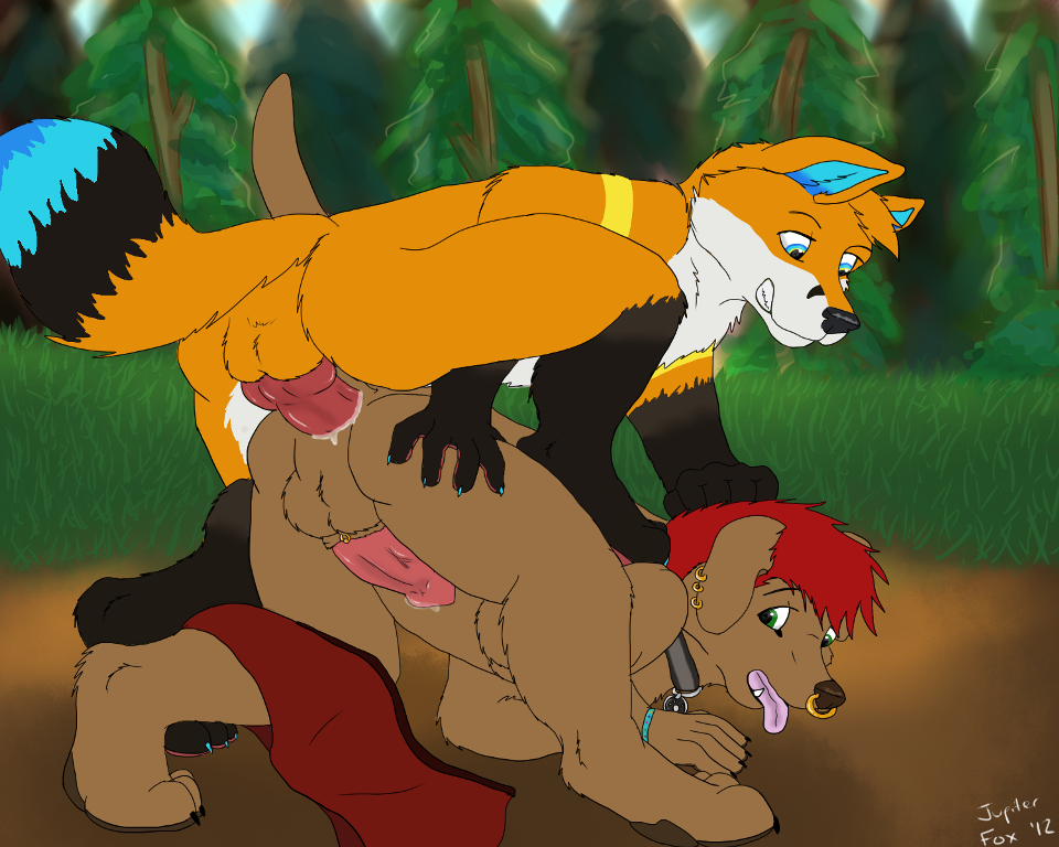 all_fours anal anthro ass_up balls canine dog duo forest fox gay jupiterfox knot male mammal open_mouth piercing sex tree