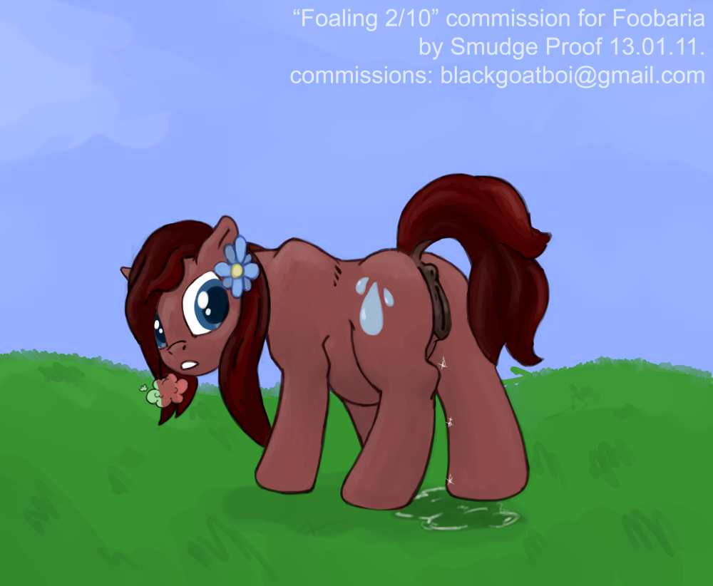 anatomically_correct anatomically_correct_pussy animal_genitalia birth birthing blue_eyes brown_fur brown_hair commission cutie_mark equine equine_pussy female feral flower flower_in_hair foaling friendship_is_magic fur grass hair horse mammal my_little_pony original_character outside pony pregnant presenting pussy raindancer raindrop smudge_proof solo steam