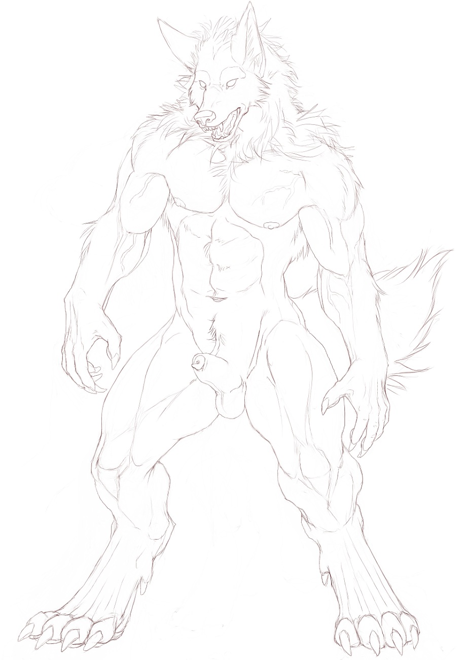 auric balls biceps canine claws flaccid line_art male mammal muscles nipples nude open_mouth pecs penis plain_background sheath teeth vein veins were werewolf white_background wolf