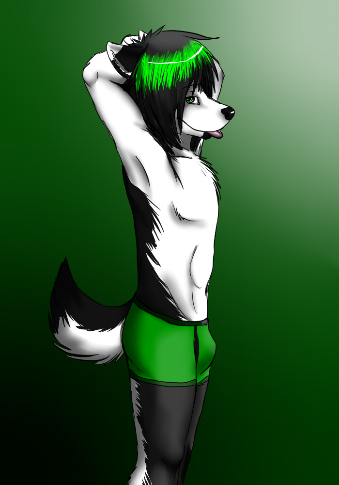 bulge canine clothed clothing dog green_hair hair half-dressed husky invalid_color male mammal maron_the_husky pants solo sticks tongue tongue_out topless underwear