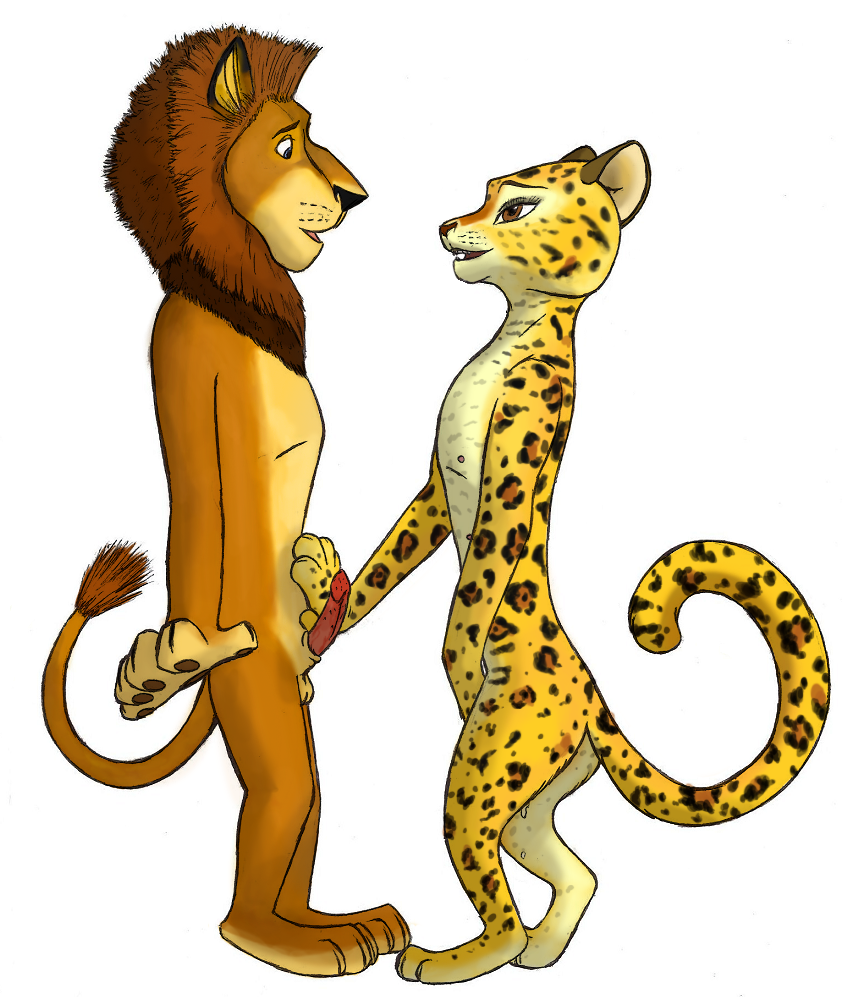 alex_(madagascar) anthro balls cum dreamworks erection eye_contact feline female gia_(madagascar) gia_the_jaguar interspecies jaguar kryaterre lion madagascar male mammal marjani penis plain_background pussy_juice white_background