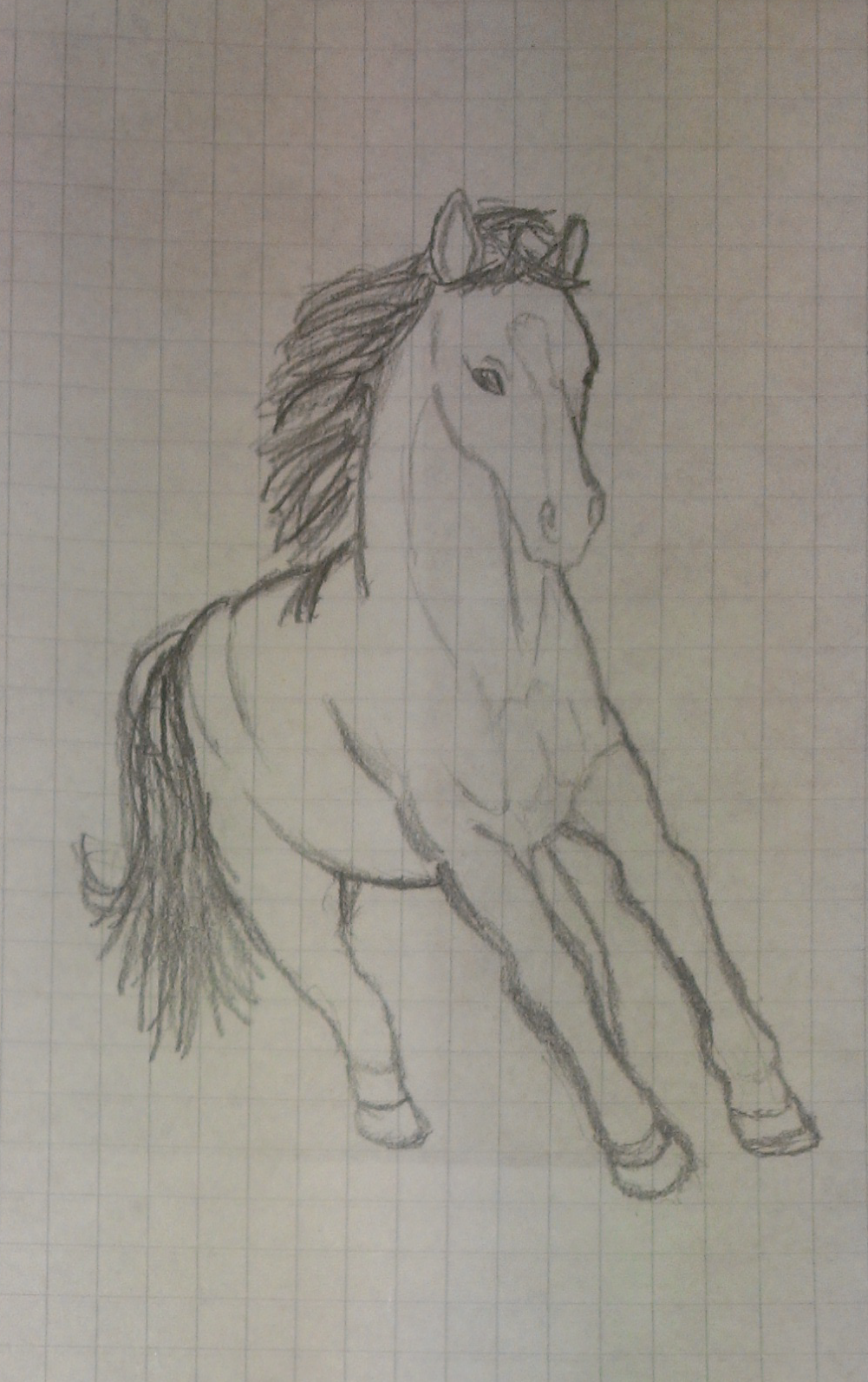 adult ambiguous_gender anatomically_correct drawing equine feral horse line_art mammal muscles pencil sketch solo traditional twindrags unfinished