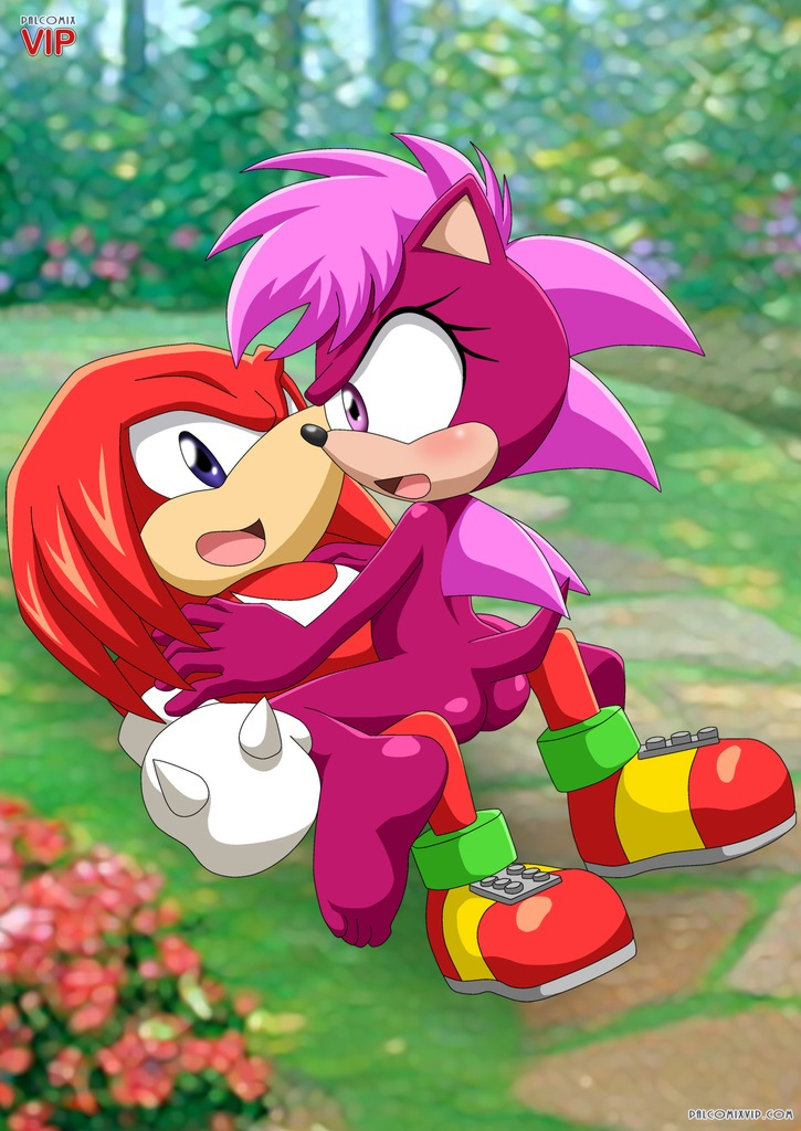 butt duo echidna female hedgehog knuckles_the_echidna knuckles_the_echinda male mammal palcomix_vip purple_eyes sega sex sonia_the_hedgehog sonic_(series) straight