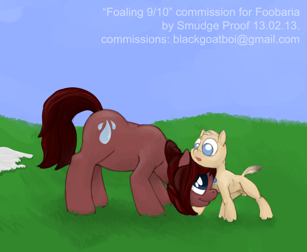 anatomically_correct anatomically_correct_pussy animal_genitalia birth birthing blue_eyes brown_fur brown_hair commission cub cutie_mark duo equine equine_pussy evensong female feral flower flower_in_hair foaling friendship_is_magic fur grass hair horse male mammal my_little_pony original_character outside pony pregnant presenting pussy raindancer raindrop smudge_proof sweat teats young