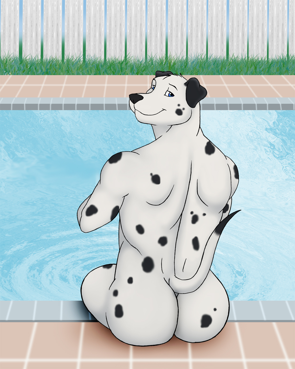 back_turned black_nose blue_eyes butt canine dalmatian dog fence grass looking_at_viewer looking_back male mammal nude outside pool sitting smile solo spots vamplust water