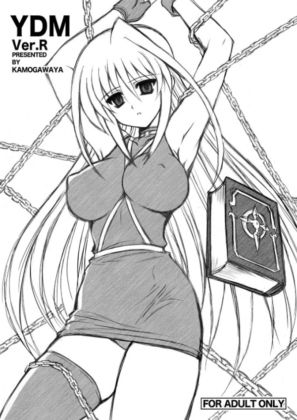 armpits arms_up asymmetrical_clothes bdsm bondage book bound bound_arms breasts chain collar cover cover_page covered_nipples doujin_cover dress empty_eyes fingerless_gloves gloves greyscale kamogawa_tanuki large_breasts lyrical_nanoha mahou_shoujo_lyrical_nanoha mahou_shoujo_lyrical_nanoha_a's monochrome reinforce single_hair_intake single_thighhigh solo thighhighs tome_of_the_night_sky
