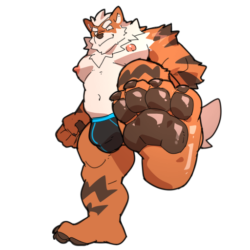 1:1 alpha_channel anthro arcanine baiyushou bulge canid canine clothing feet generation_1_pokemon male mammal nintendo nipples pawpads pecs pokemon pokemon_(species) solo underwear