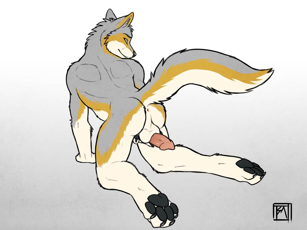 balls big_muscles butt canine erection fur granite_the_wolf looking_at_viewer looking_back male mammal muscles nude paws penis presenting raised_tail solo tsaiwolf wolf