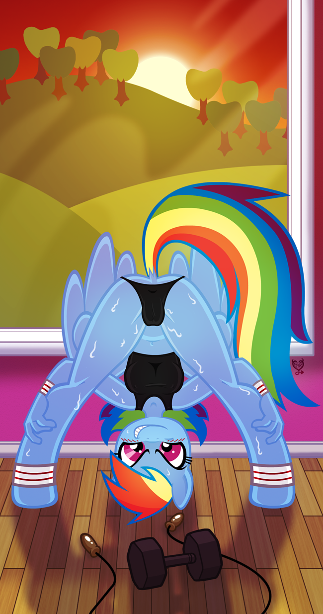bent_over butt camel_toe clothed clothing equine female friendship_is_magic hair horse inside looking_at_viewer mammal multi-colored_hair my_little_pony pegasus pony purple_eyes rainbow_dash_(mlp) rainbow_hair signature skimpy skipping_rope solo sweat weights wicked-at-heart wings