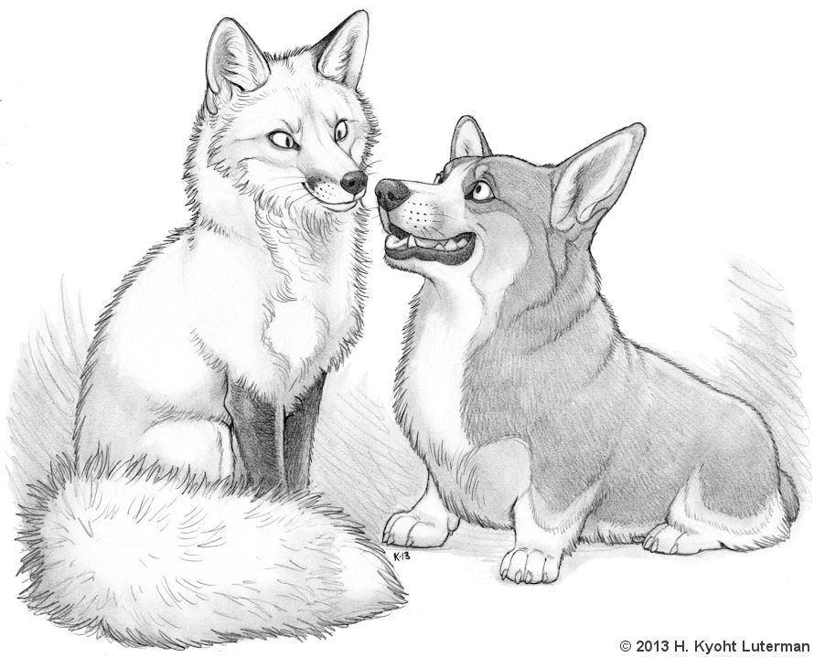 ambiguous_gender brett canine corgi dog drawing duo erin feral fox greyscale kyoht mammal monochrome open_mouth plain_background smile stare teeth tongue tongue_out traditional_media