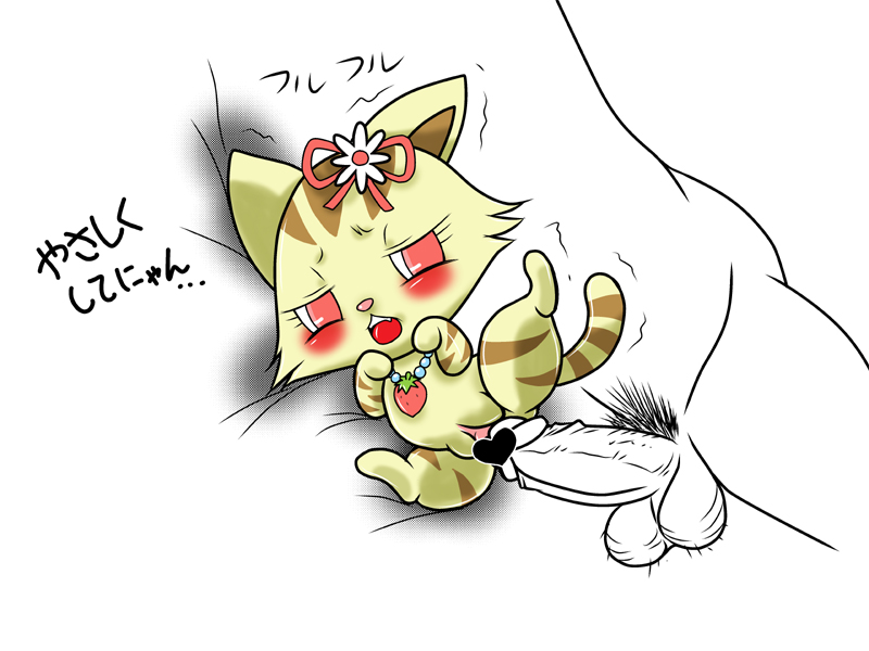 cub feline female ineffective_censorship jewel_pet mammal pussy sango_(jewel_pet) shinooka spread_legs spreading young