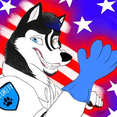 anthro canine clothing dog glove hair husky kalus male mammal security smile