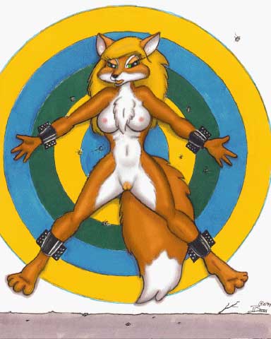 bdsm blonde_hair bondage bound bounder_fox breasts canine chest_tuft female fox fur hair invalid_tag looking_at_viewer mammal navel nipples orange_fur perky_ears pussy solo spreading target tom_bates tuft white_belly white_fur