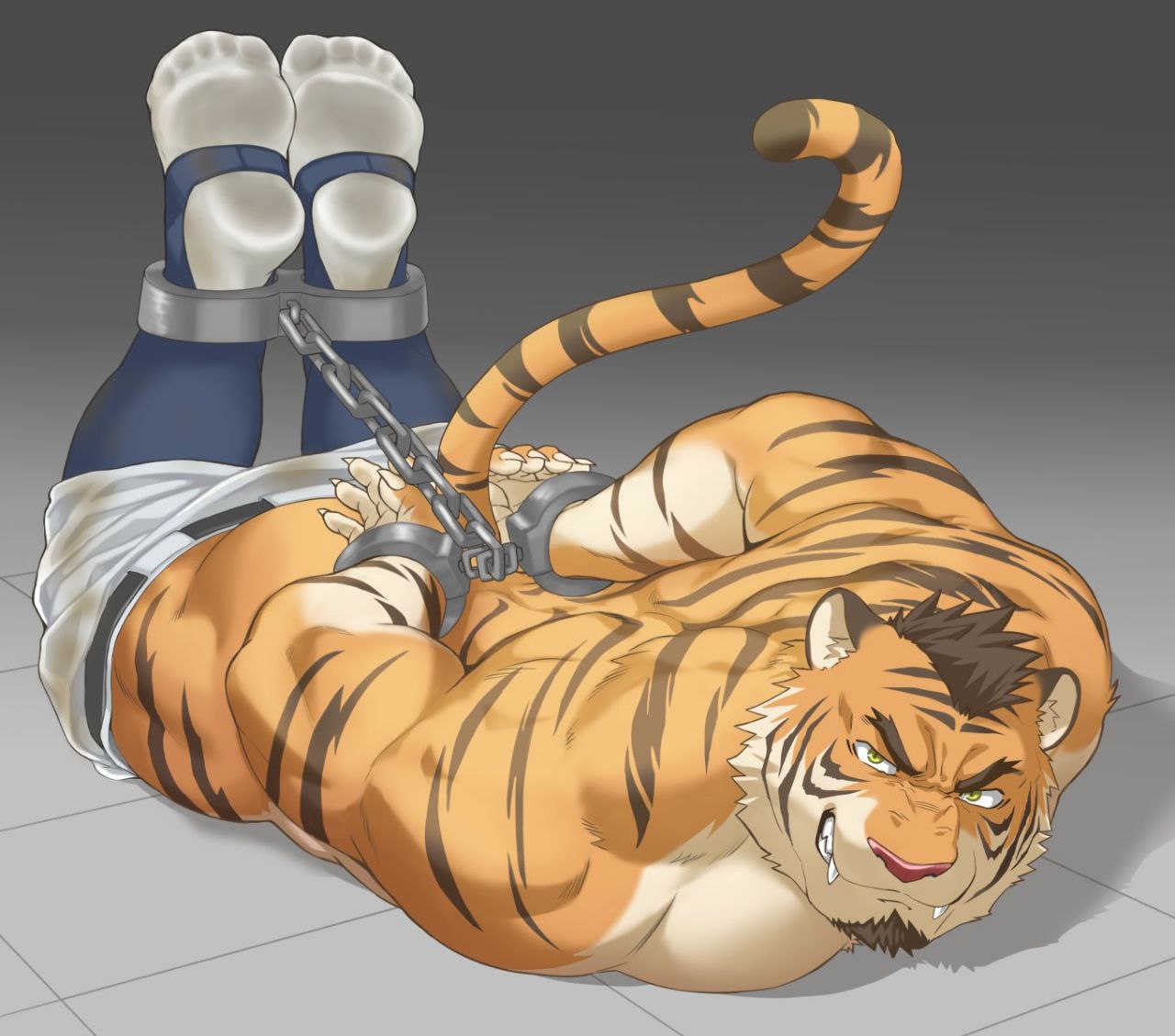 ankles_tied anthro arms_tied barazoku bdsm bondage bound clothing cuff_(restraint) dirty_socks feet felid foot_fetish footwear kurotetsu1379 male mammal muscular muscular_male pantherine questionable_consent restraints shackles socks solo tiger