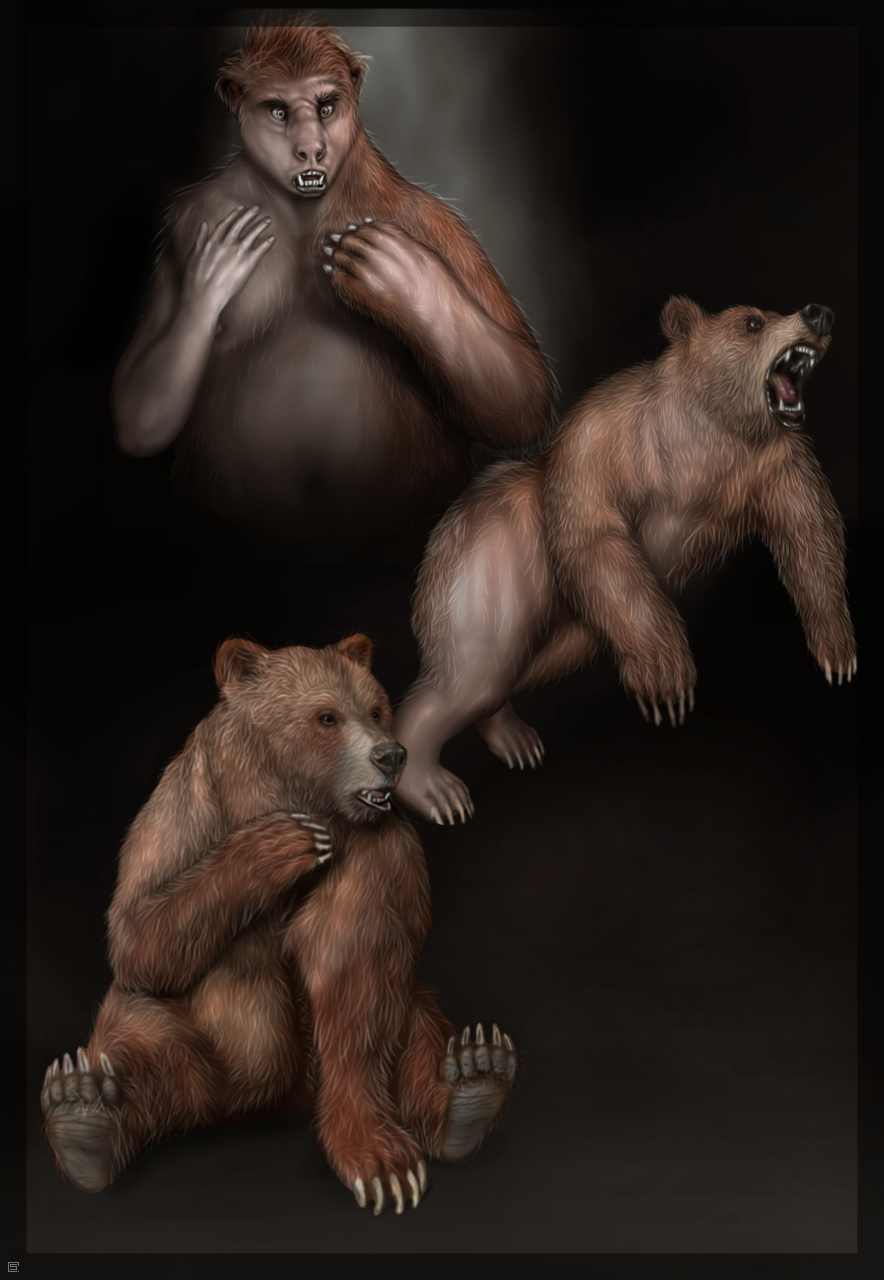 bear brown_fur feral fur male mammal sequence shocked solo splice_(artist) surprise transformation