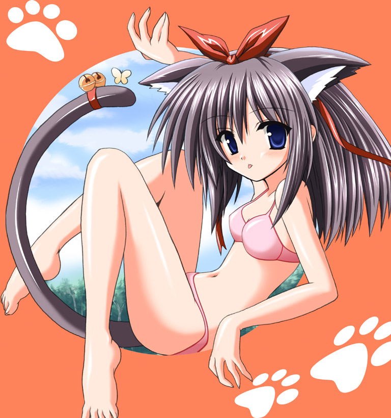 :p animal_ears barefoot bell bikini blue_eyes cat_ears cat_tail copyright_request feet hair_ribbon navel paw_print ribbon solo swimsuit tail tail_bell tongue tongue_out waiai