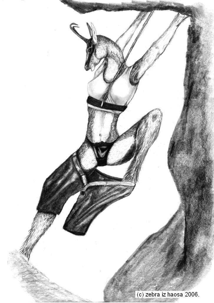 anthro belt black_markings black_panties black_shorts chamois clothing crop_top facial_markings fall female fur grey_fur greyscale harness horn long_neck looking_down markings midriff monochrome open_mouth pencil_(art) pussy rock_climbing rope shirt simple_background slipping spread_legs spreading surprise tank_top traditional_media underwear undressing unknown_artist wardrobe_malfunction white_shirt worried