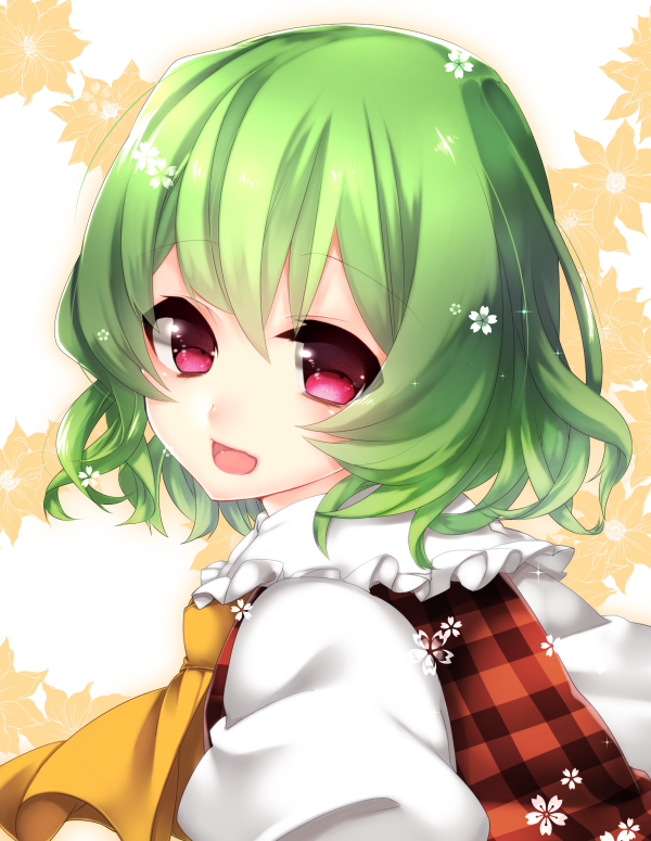 ascot bad_id bad_pixiv_id checkered checkered_shirt face floral_background flower frills green_hair kazami_yuuka looking_at_viewer looking_back open_mouth portrait puffy_sleeves red_eyes shirt short_hair simple_background smile solo touhou wavy_hair white_shirt yutazou