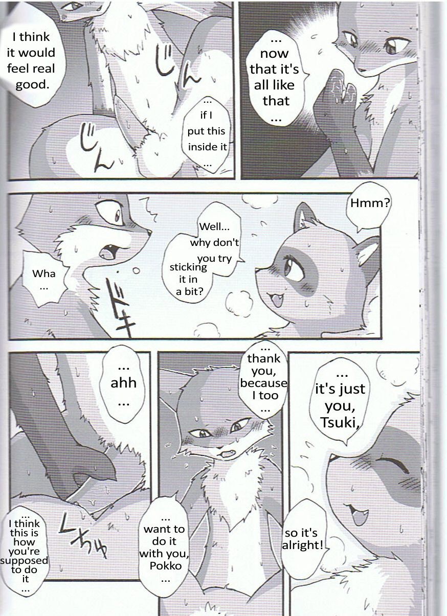 bed blanket breasts breath canine comic de-censored dialog embarrassed erection fast_and_furryious female fox male mammal manga mikazuki_karasu nude penis pokko precum pussy raccon raccoon straight text translated tsuki warmth winter