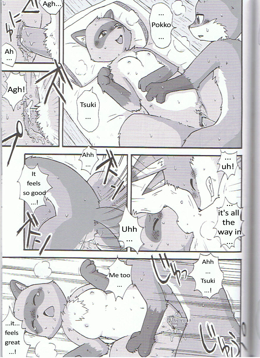 bed breasts breath canine comic de-censored dialog erection fast_and_furryious female fox male mammal manga mikazuki_karasu nude penetration penis pokko precum pussy raccon raccoon straight text translated tsuki warmth winter