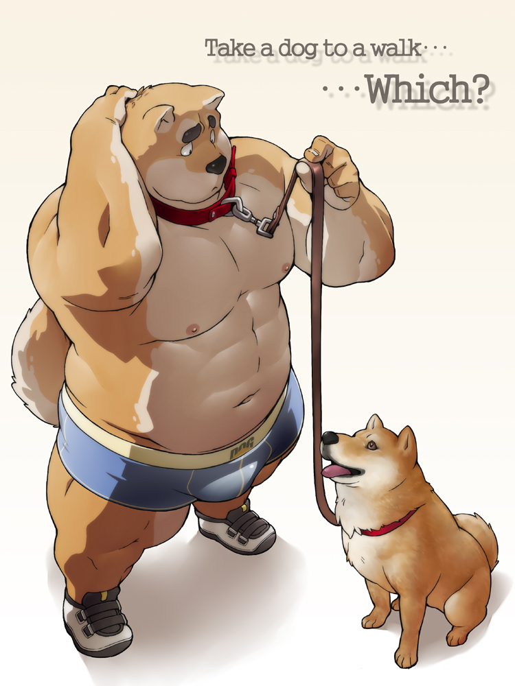 &#12414;&#12368;&#12414;&#12383;&#12356;&#12375; canine chubby collar dog english_text feral furries_with_pets leash male mammal musclegut nipples shiba_inu text topless
