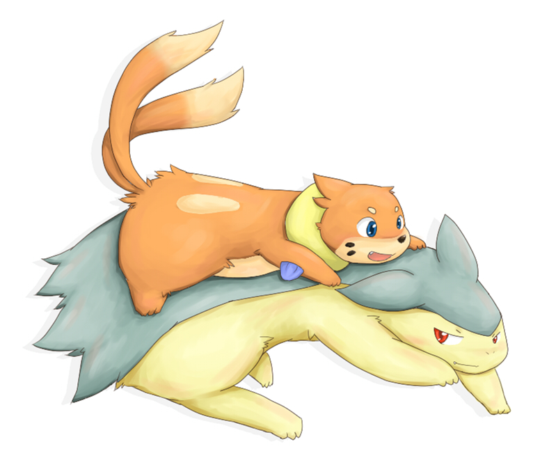 badger blush buizel cute kinoko mammal mustelid nintendo otter plain_background pok&#233;mon pok&eacute;mon red_eyes simple_background typhlosion video_games white_background wolverine