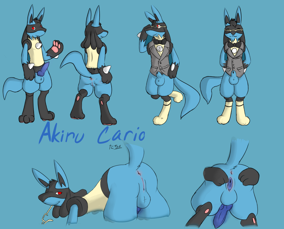 akiru_cario all_fours anthro anus balls barefoot bow butt canine clothed clothing erection eyewear flaccid fur glasses half-closed_eyes half-dressed happy herm in_mouth intersex jackal kaptcha knot looking_at_viewer looking_back lucario maleherm mammal nintendo nude object_in_mouth original_character pawpads paws penis pok&#233;mon pok&eacute;mon presenting presenting_hindquarters presenting_pussy pussy smile solo spreading standing video_games