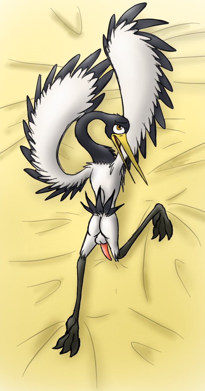 balls bed bird butt crane feral kung_fu_panda looking_at_viewer male master_crane nude penis pose solo whereiam
