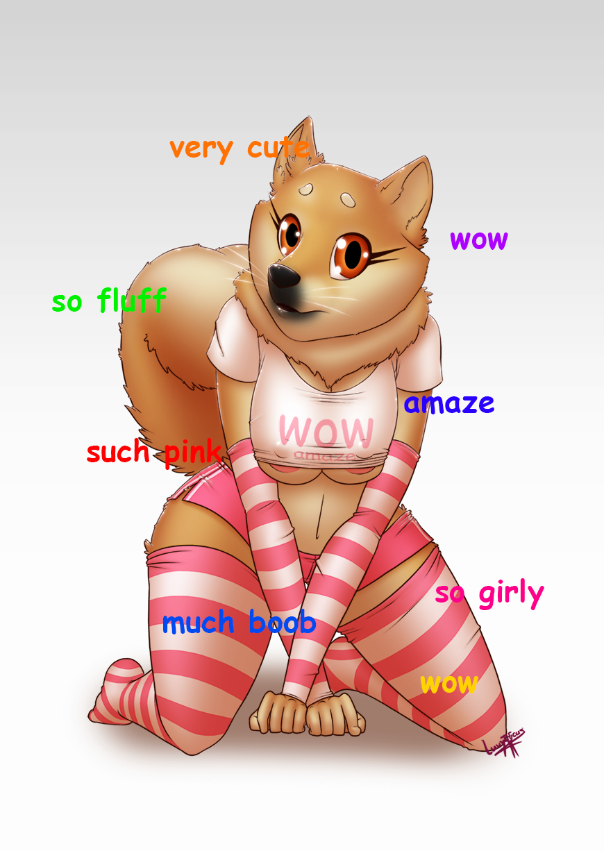 anthro black_nose breasts canine clothing cute dog doge english_text female fluff kneeling looking_at_viewer mammal meme nip_slip nipples plain_background shirt shorts solo stockings text unknown_artist white_background