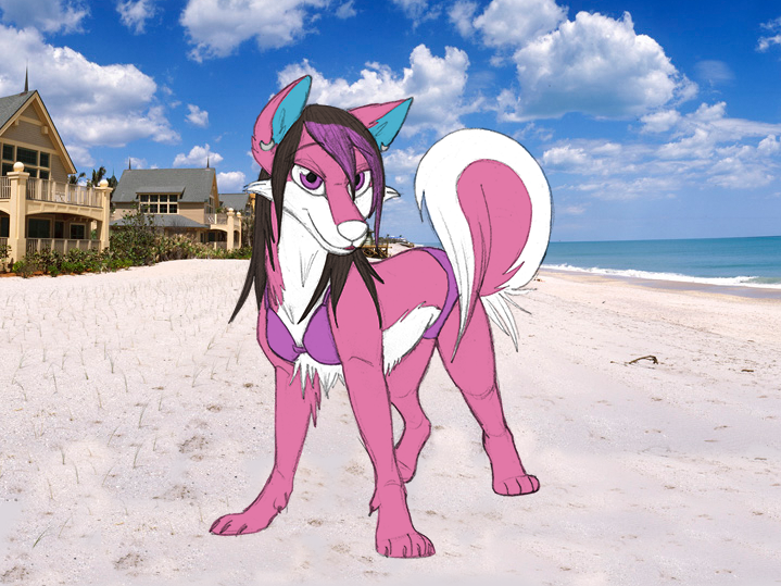 aisu-isme beach bikini black_hair canine claws clothed clothing cloud dog female feral fracture fur hair house husky long_hair looking_at_viewer mammal multi-colored_hair multicolored_fur outside photo pink_fur purple_eyes purple_hair sand sea seaside skimpy sky solo sparkledog swimsuit water wet_fur wet_hair white_fur window